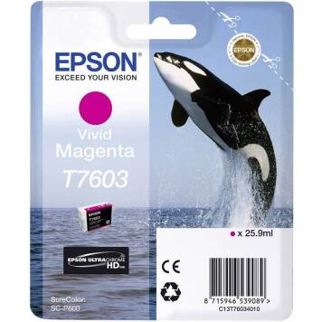 Epson T7603 tusz vivid magenta C13T76024010 oryginalny